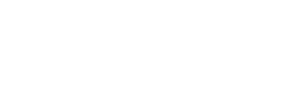 https://www.omnilink.cc/wp-content/uploads/2019/11/logo_omnilink_704_prancheta_negativo4-320x118.png